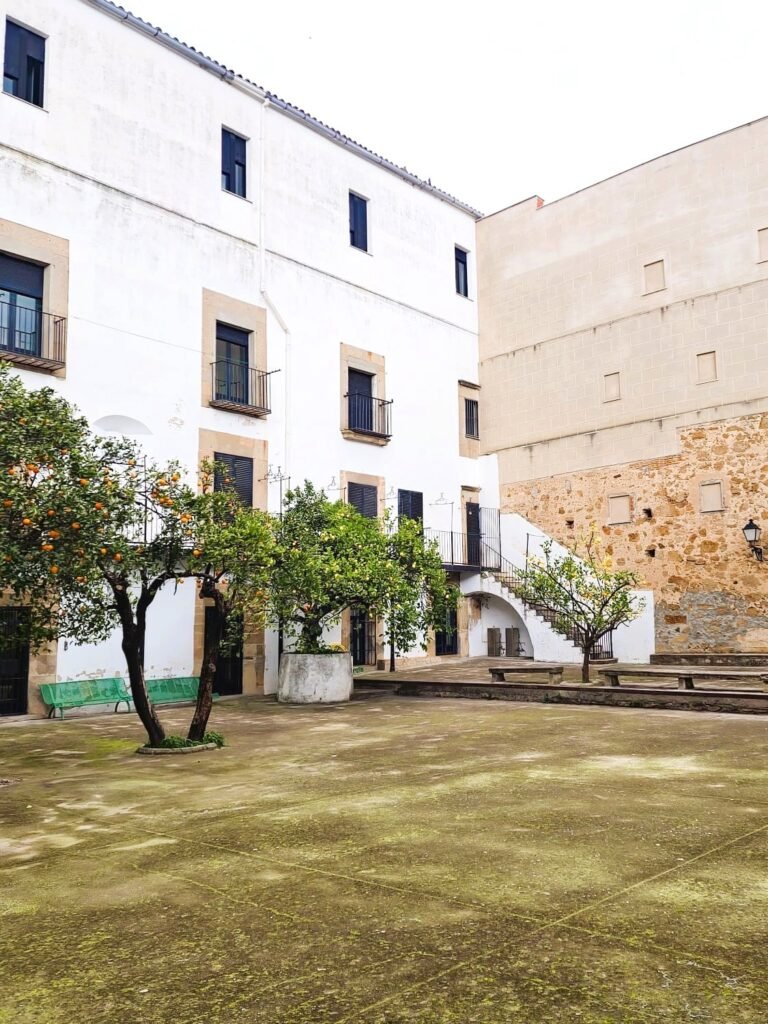 Patio de los naranjos